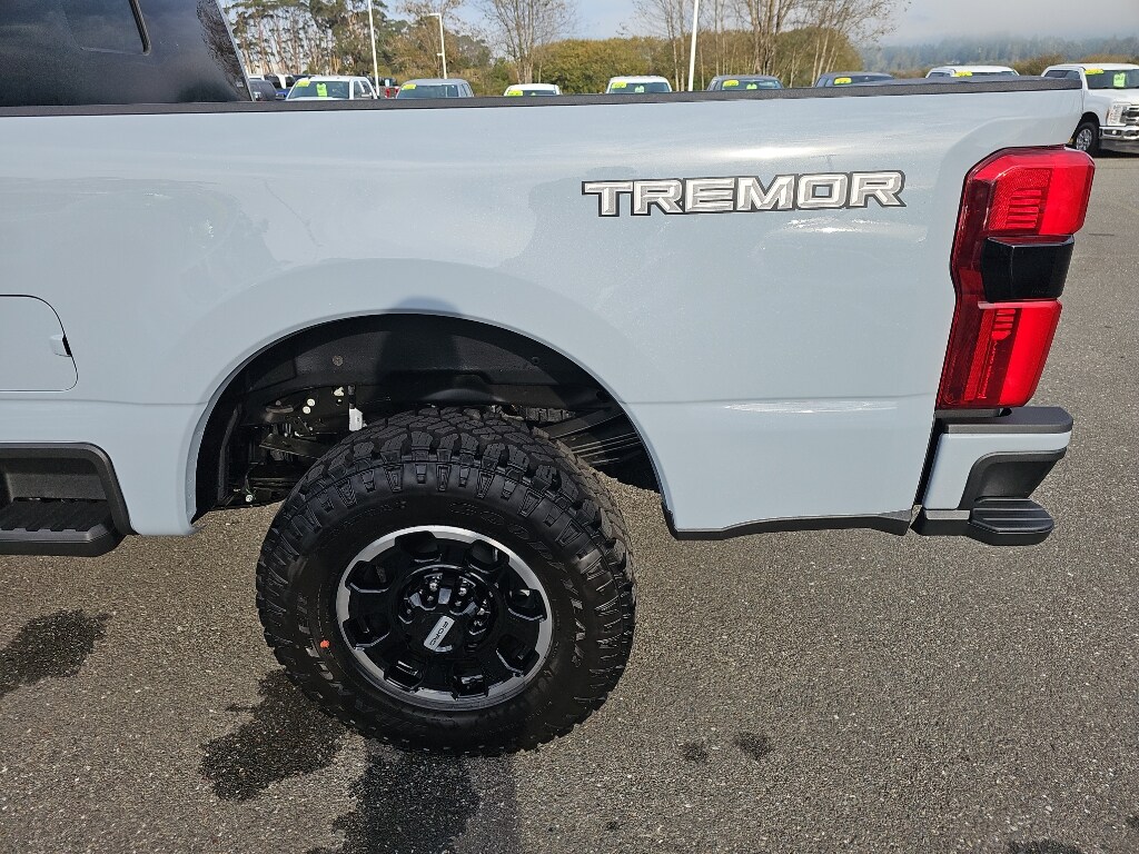 2025 Ford F-250 Platinum photo 3