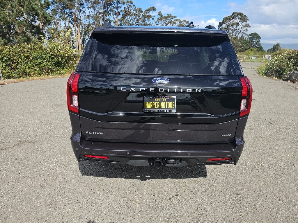 2025 Ford Expedition MAX photo 3