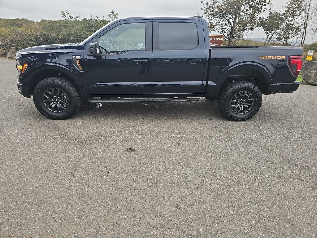 2025 Ford F-150 Tremor photo 2