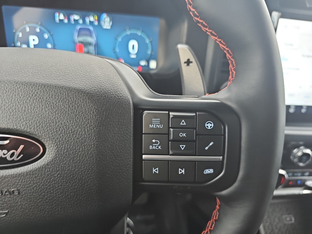 2025 Ford F-150 Raptor - Photo 14