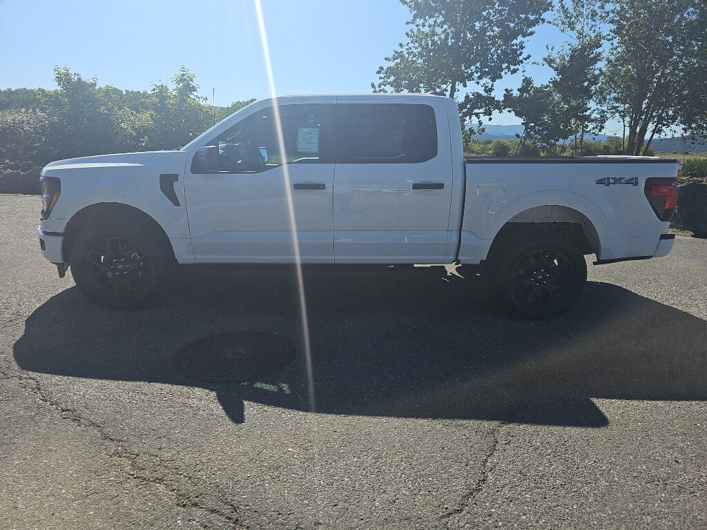 2025 Ford F-150 STX photo 2