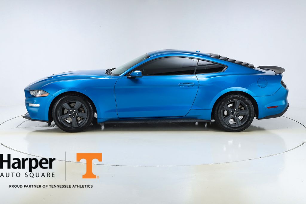 2019 Ford Mustang EcoBoost photo 2