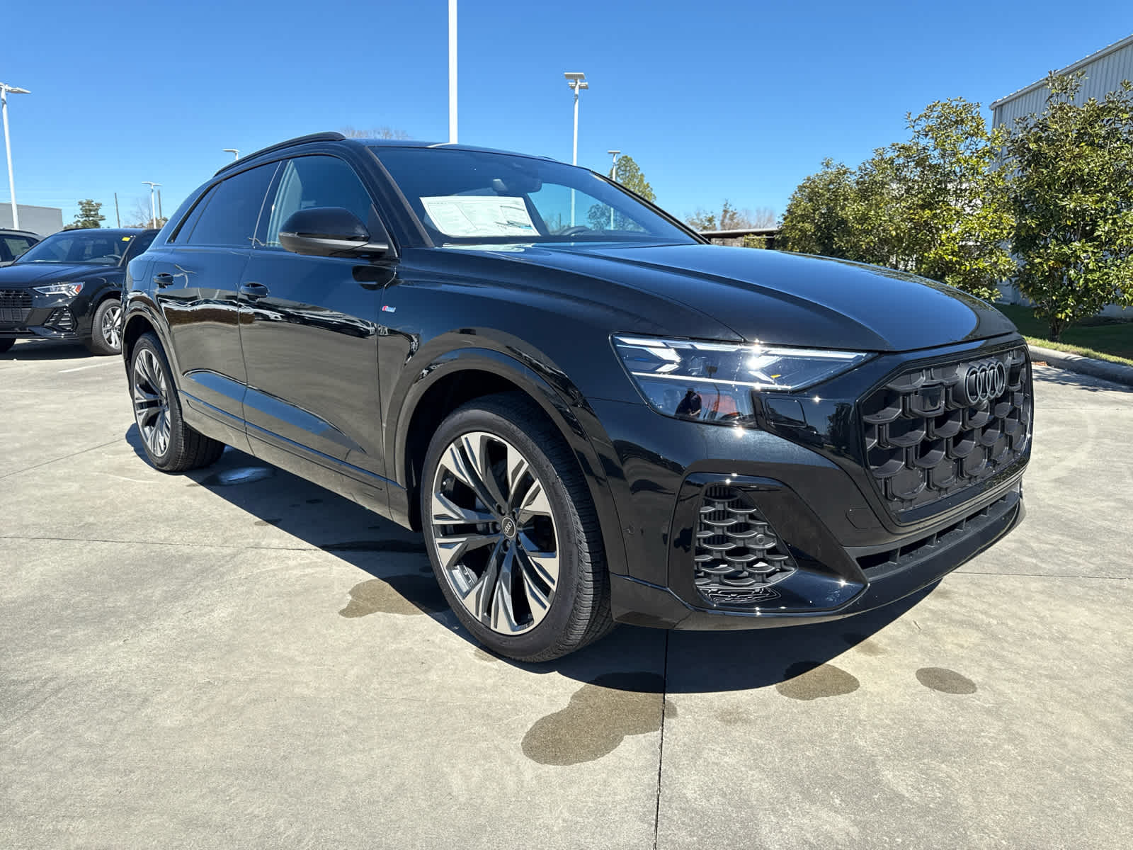 2025 Audi Q8 55 Prestige photo 3
