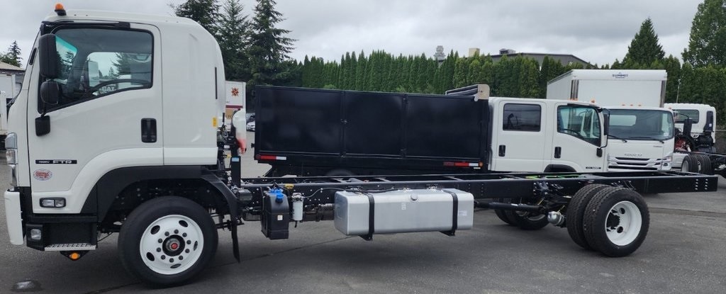 2025 Isuzu FTR Cab/Chassis's photo