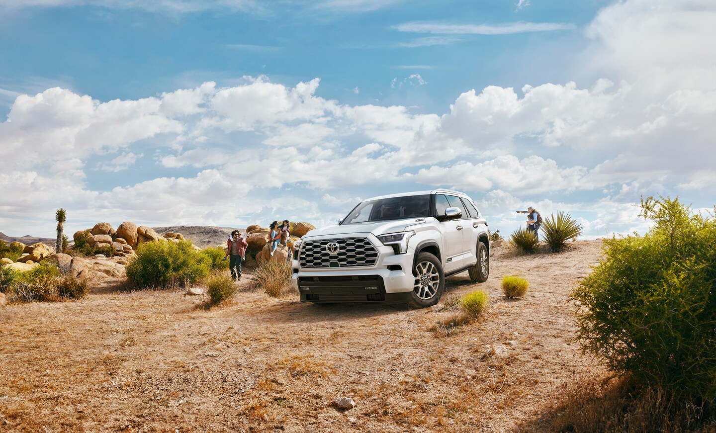 tacoma sr5 trims