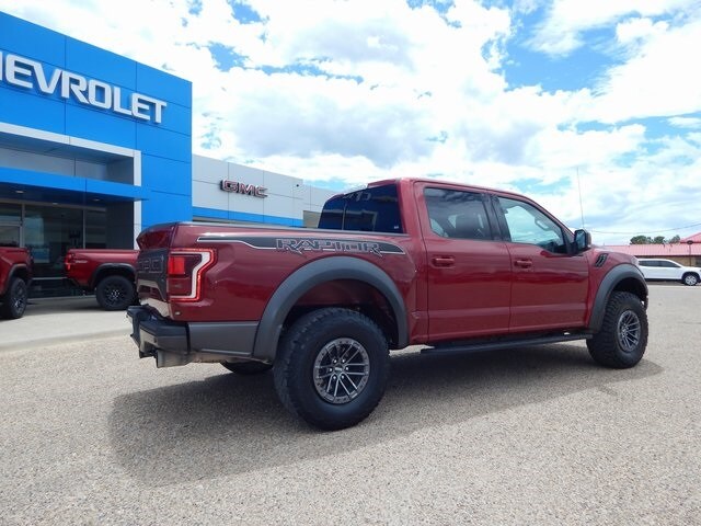 2019 Ford F-150 Raptor photo 3