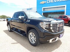 2025 GMC Sierra 1500 Denali Truck Crew Cab