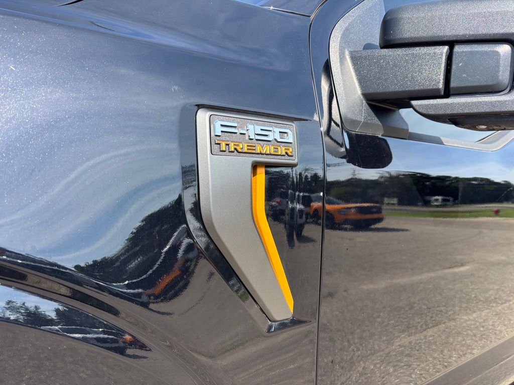2025 Ford F-150 Tremor - Photo 10