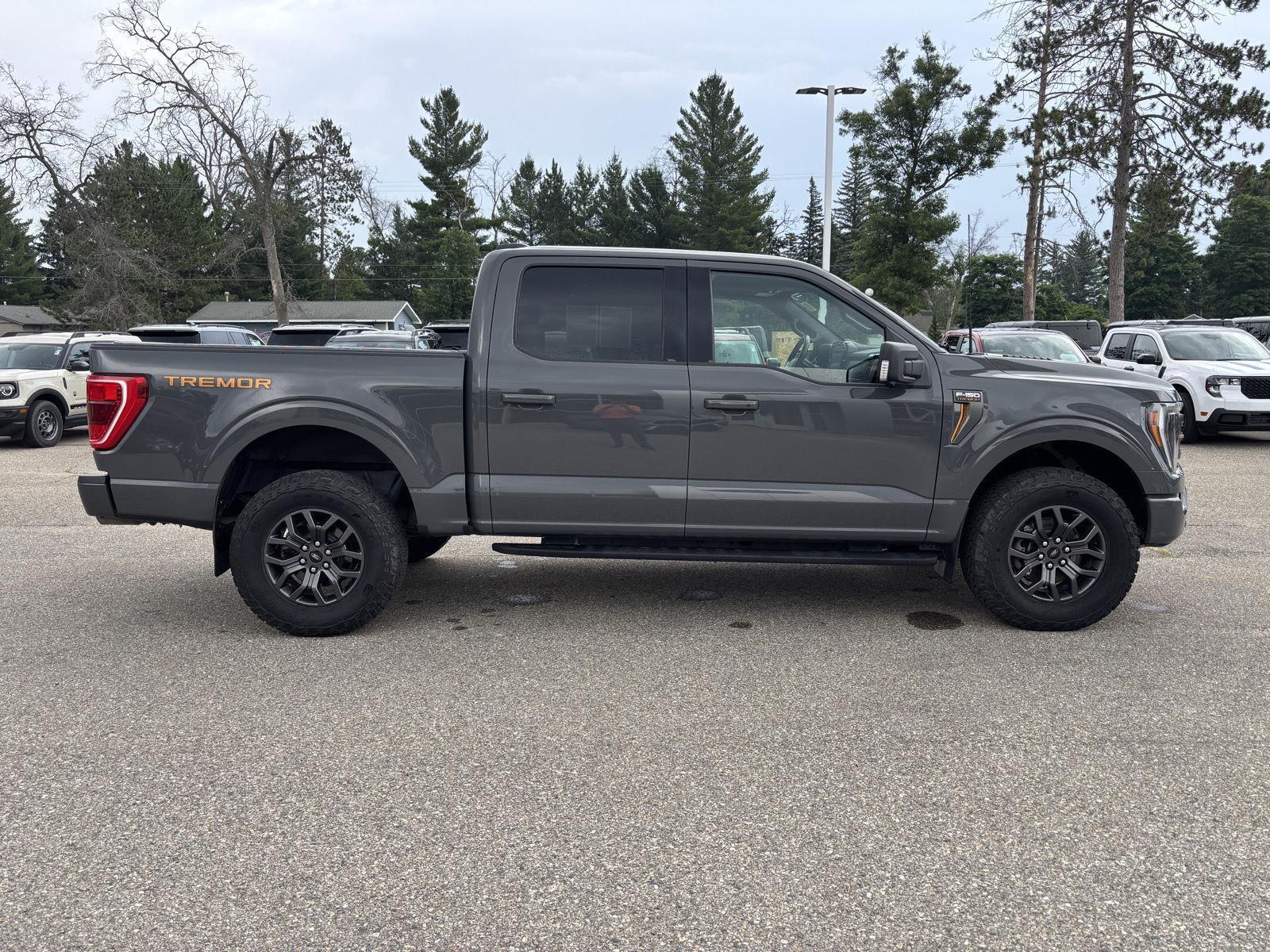 2021 Ford F-150 Tremor photo 2