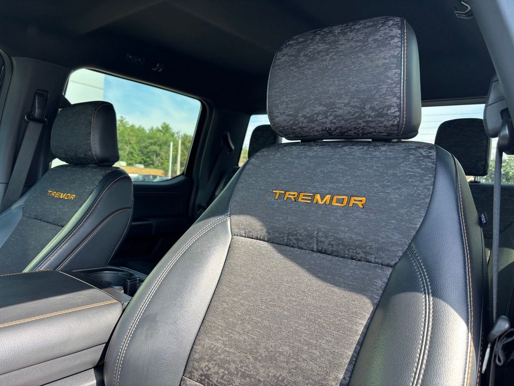 2025 Ford F-150 Tremor - Photo 13
