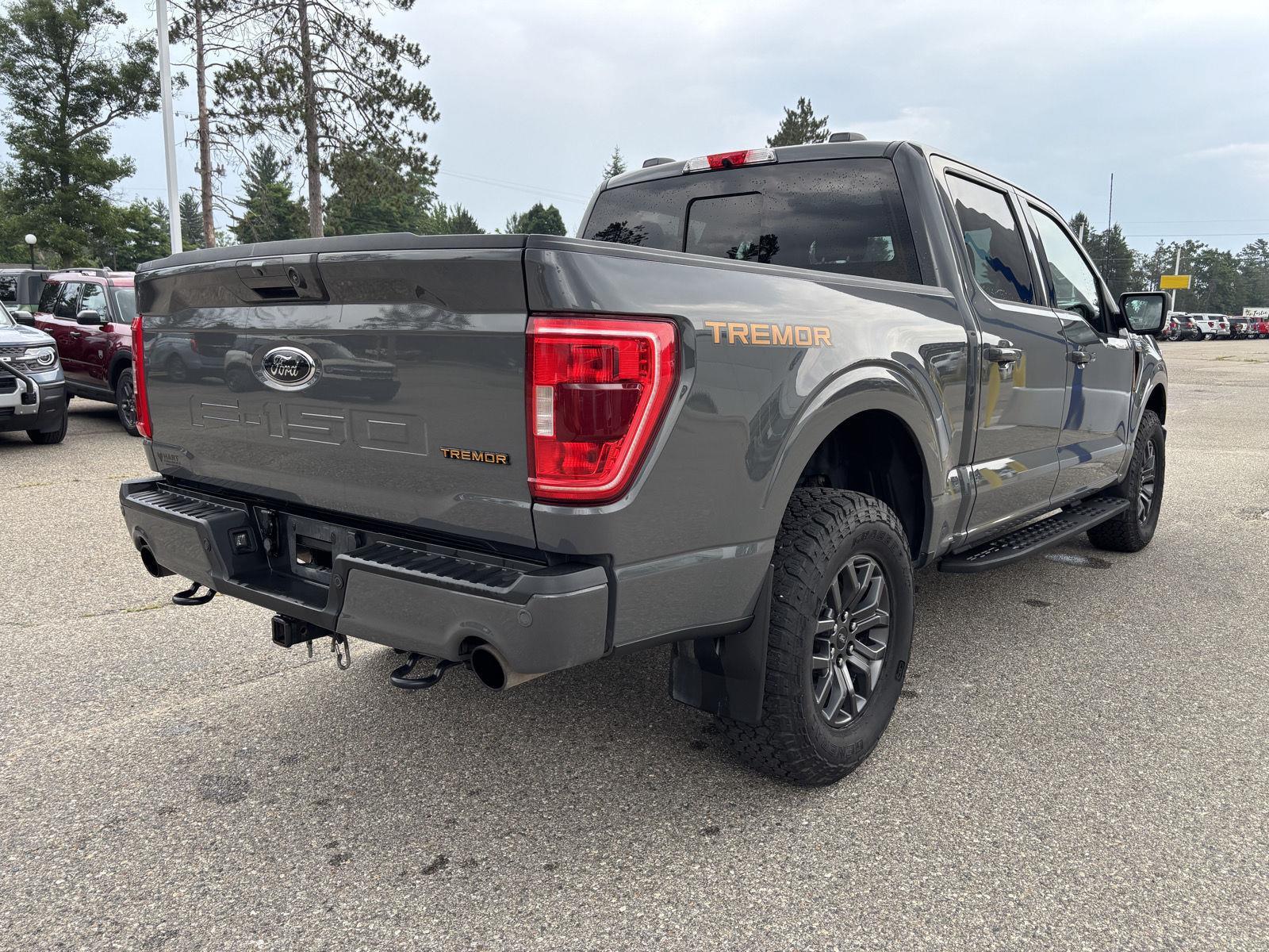 2021 Ford F-150 Tremor photo 3