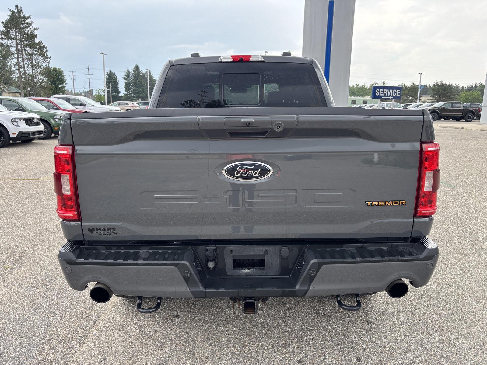 2021 Ford F-150 Tremor photo 4