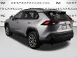 2024 Toyota RAV4 XLE Premium SUV