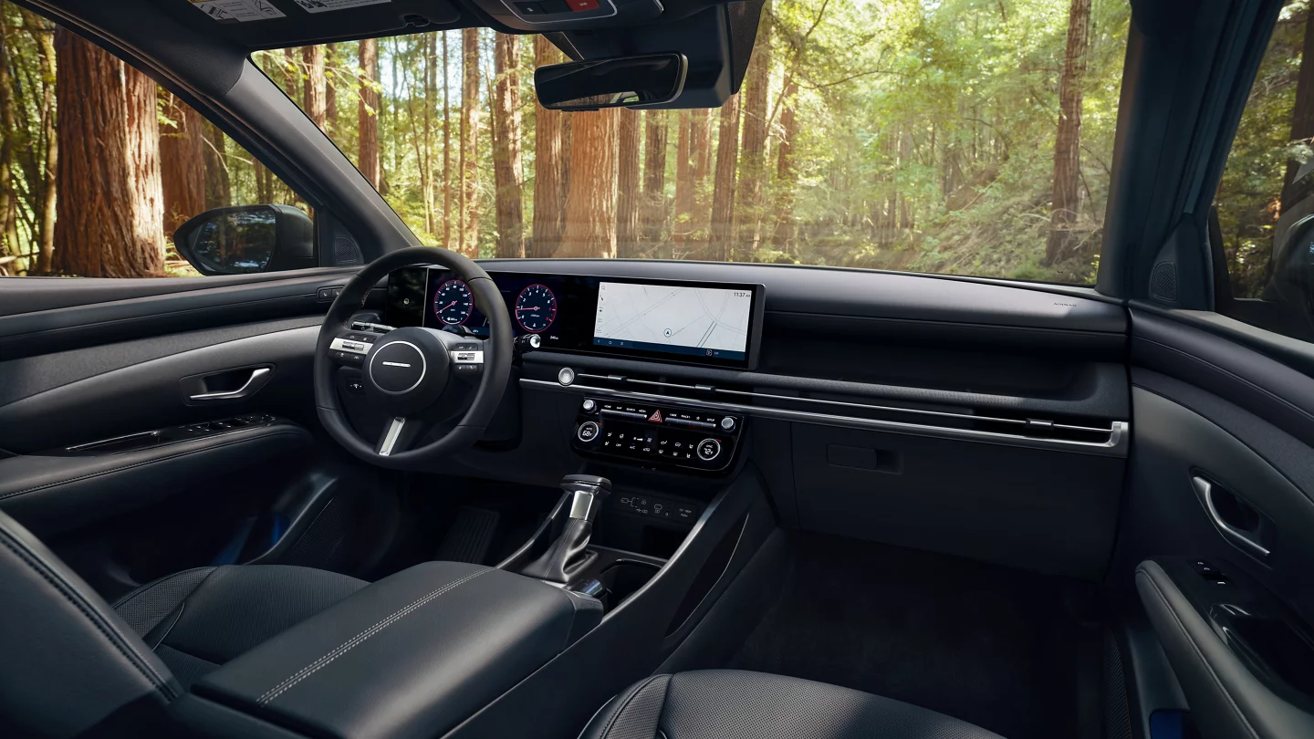 Santa Cruz Interior
