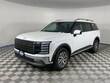  Hyundai Palisade Hybrid