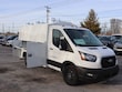 Ford Transit Cutaway