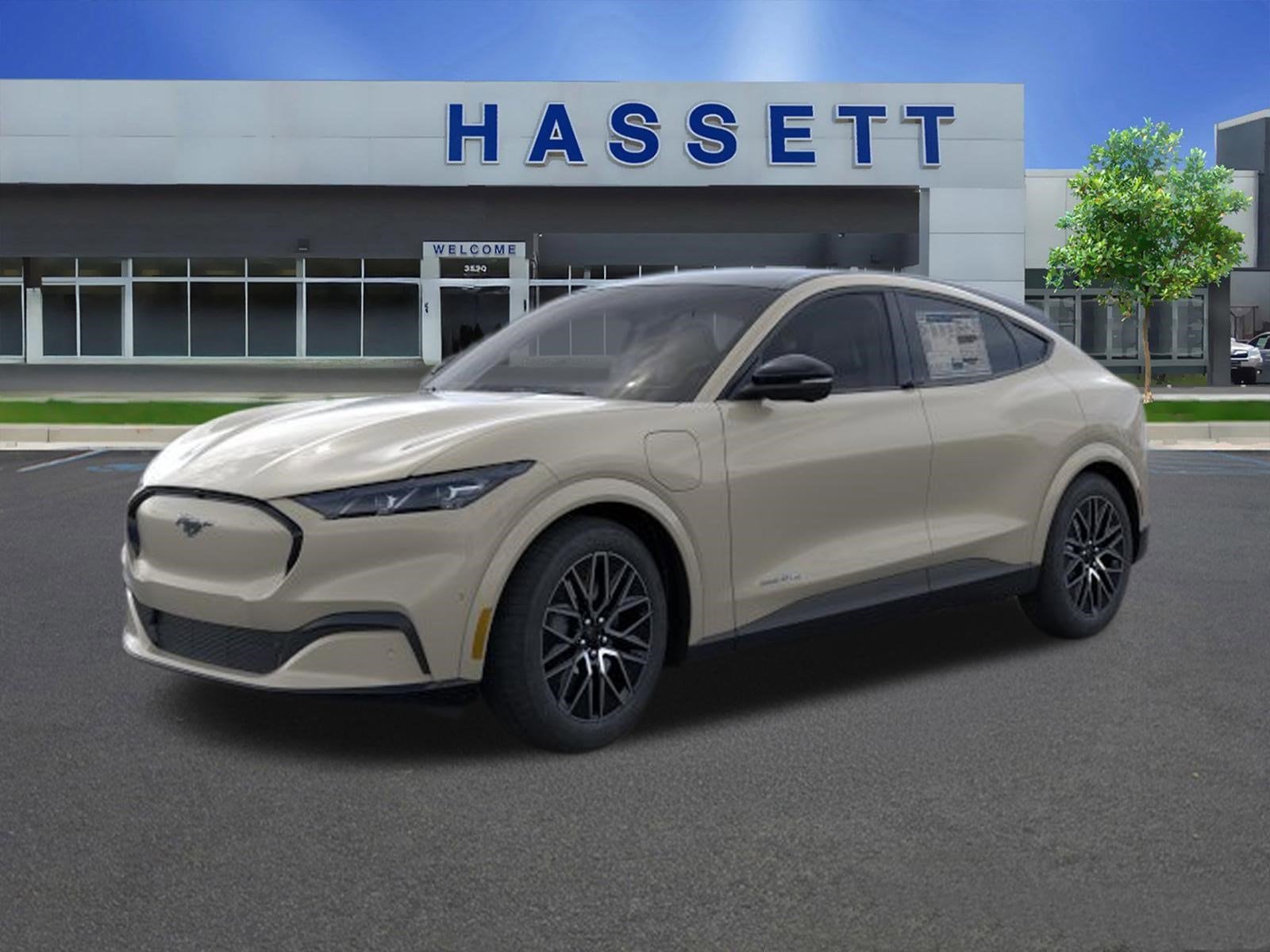 2025 Ford Mustang-Mach-e Premium's photo