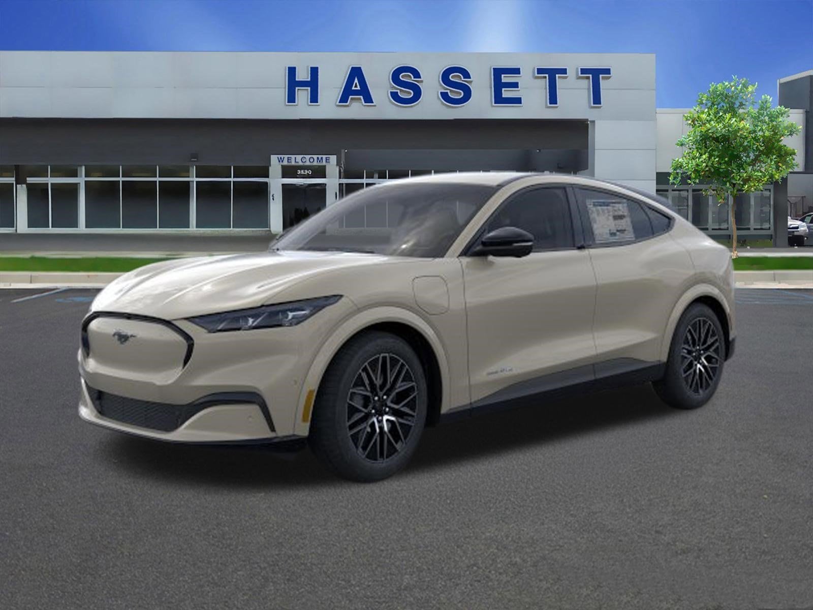 2025 Ford Mustang-Mach-e Premium's photo
