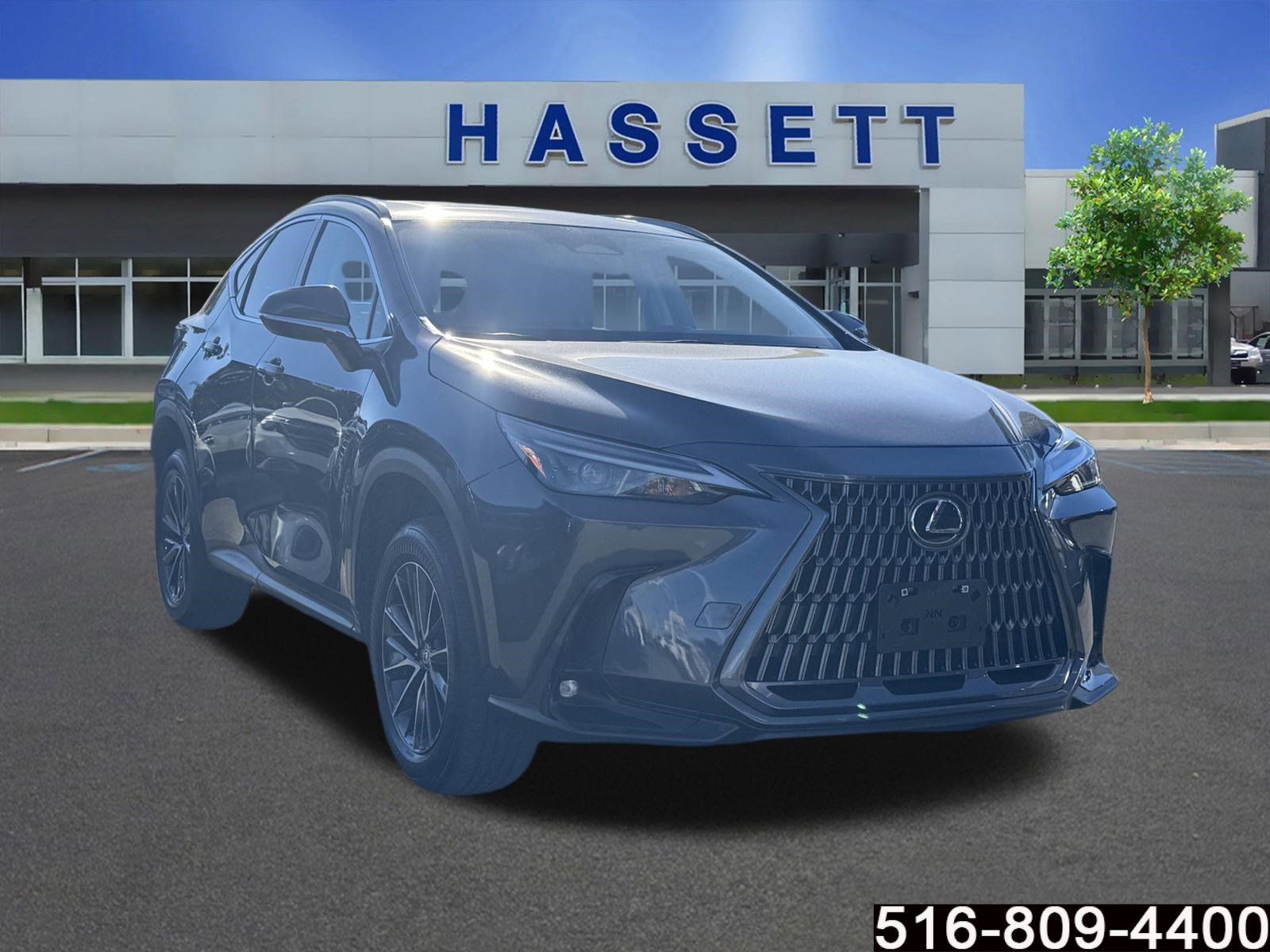 2024 Lexus NX