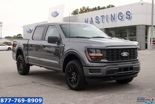 2025 Ford F-150 STX Truck