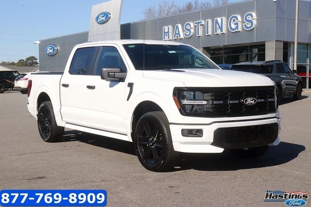 2025 Ford F-150 STX's photo