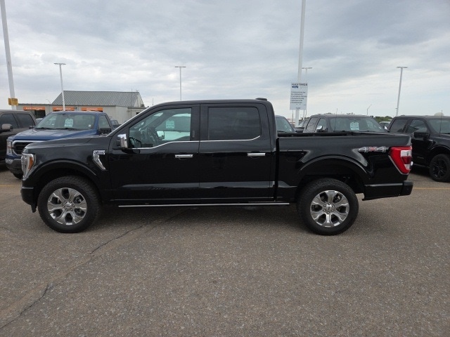 Used 2021 Ford F-150 Platinum with VIN 1FTFW1E85MFB04595 for sale in Hastings, NE