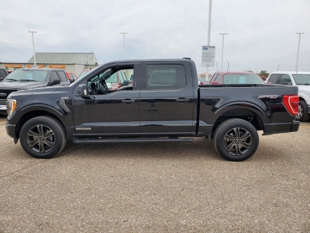 Used 2021 Ford F-150 XLT with VIN 1FTFW1ED2MFC63605 for sale in Hastings, NE