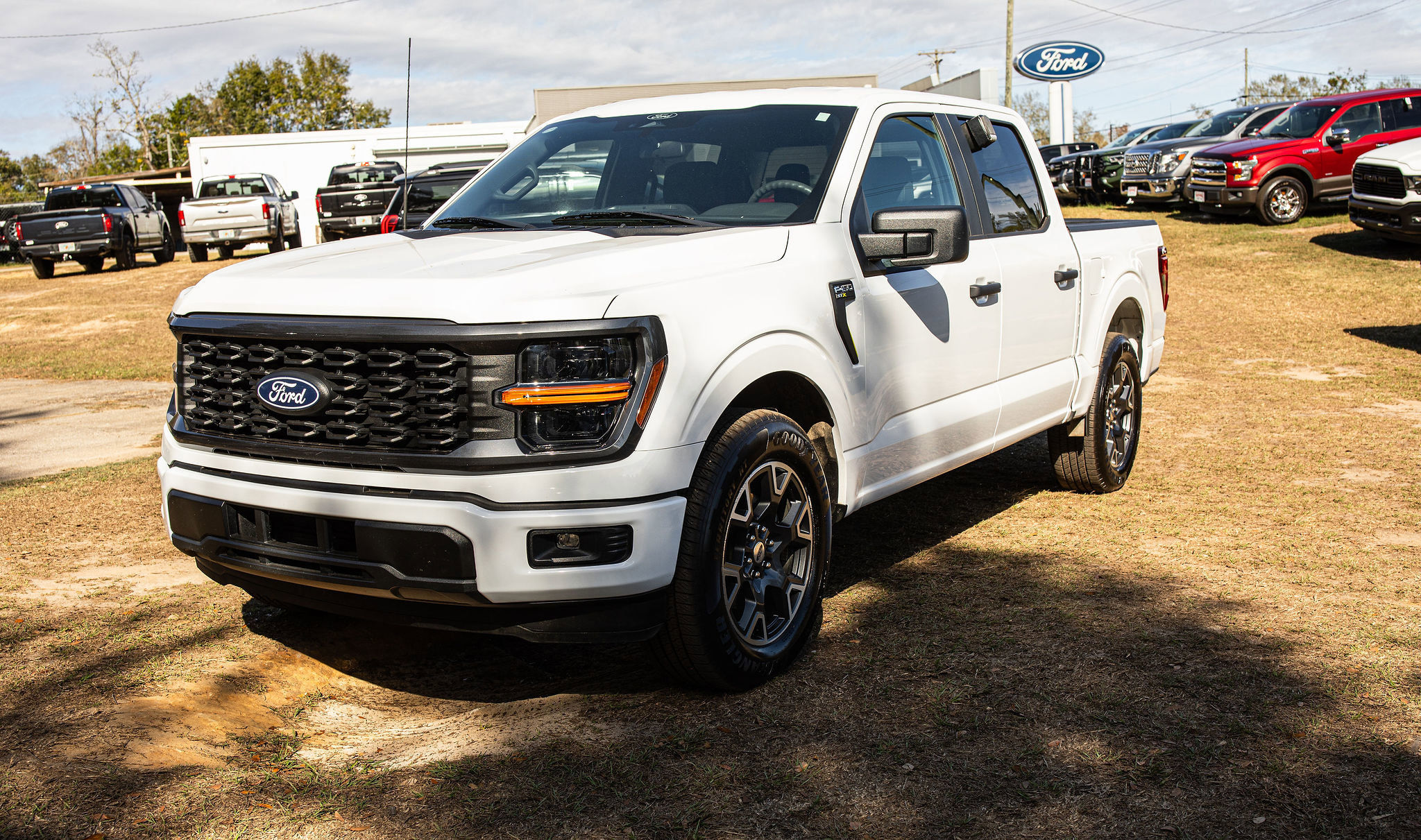 2024 Ford F-150 STX's photo