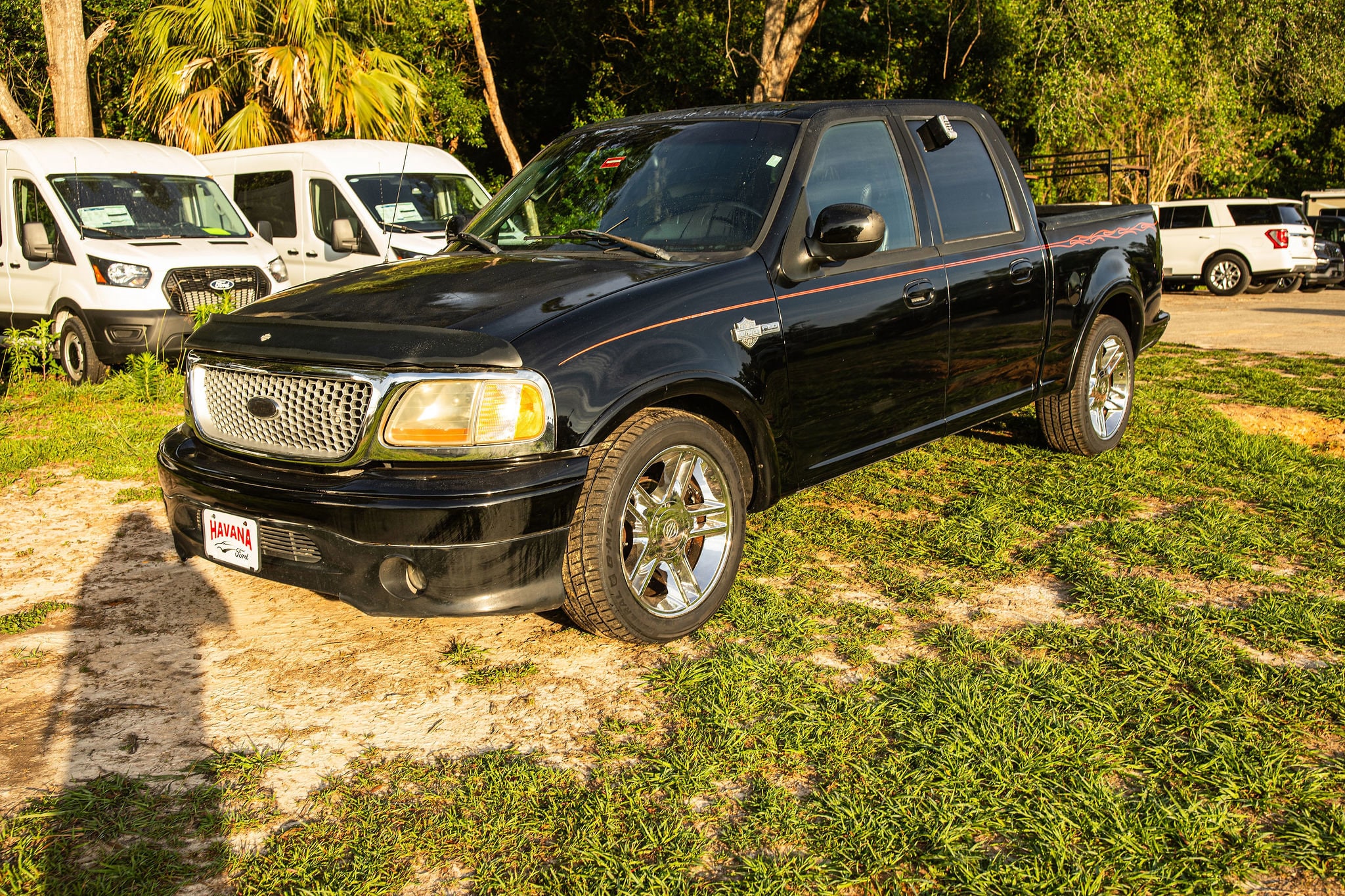 2002 Ford F-150 Harley-Davidson SuperCrew's photo