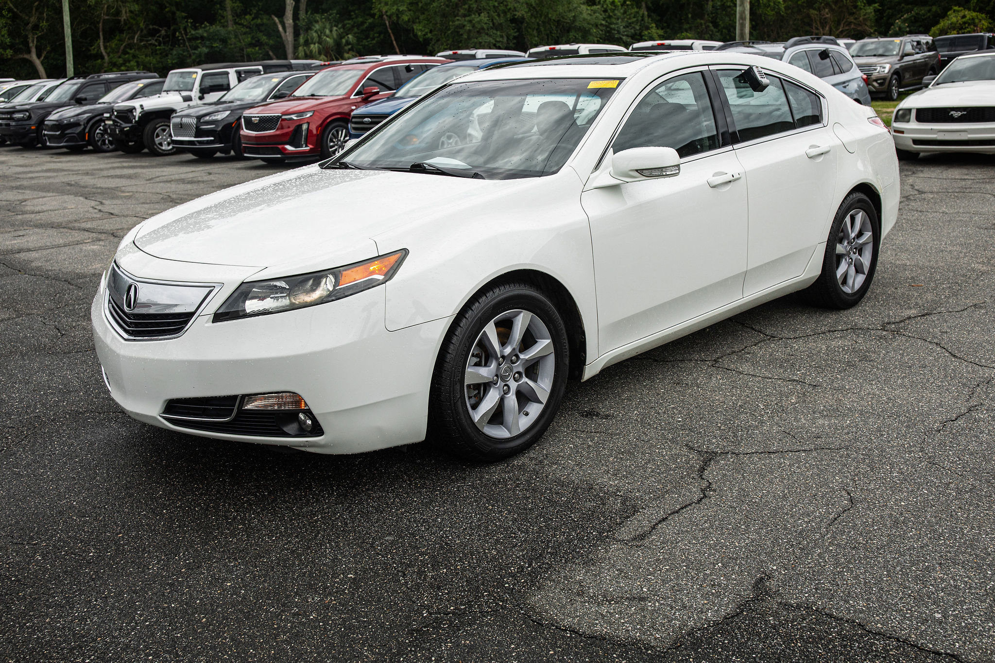 2014 Acura TL 3.5 AUTO Technology Package's photo