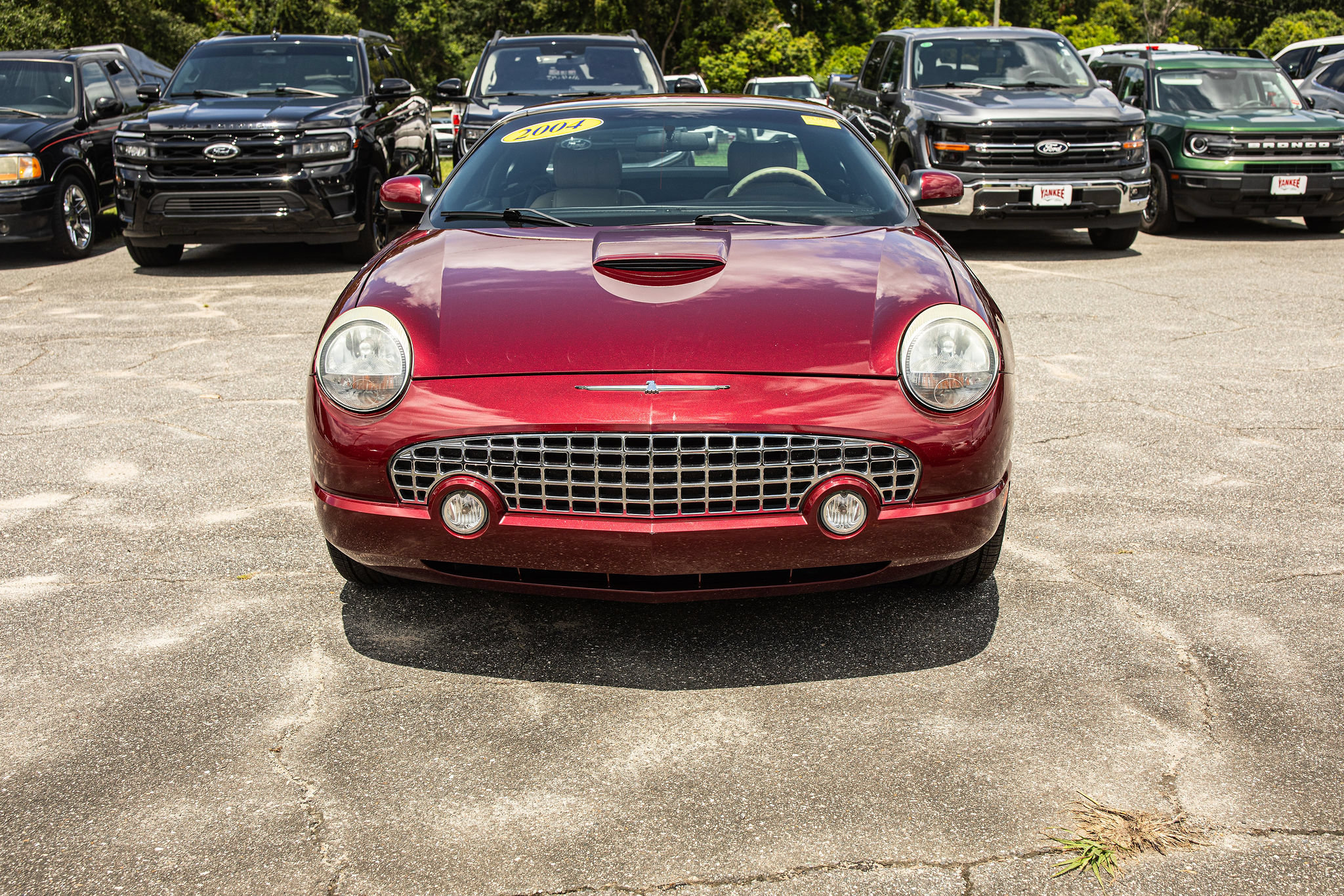 Used 2004 Ford Thunderbird Deluxe with VIN 1FAHP60AX4Y108097 for sale in Havana, FL