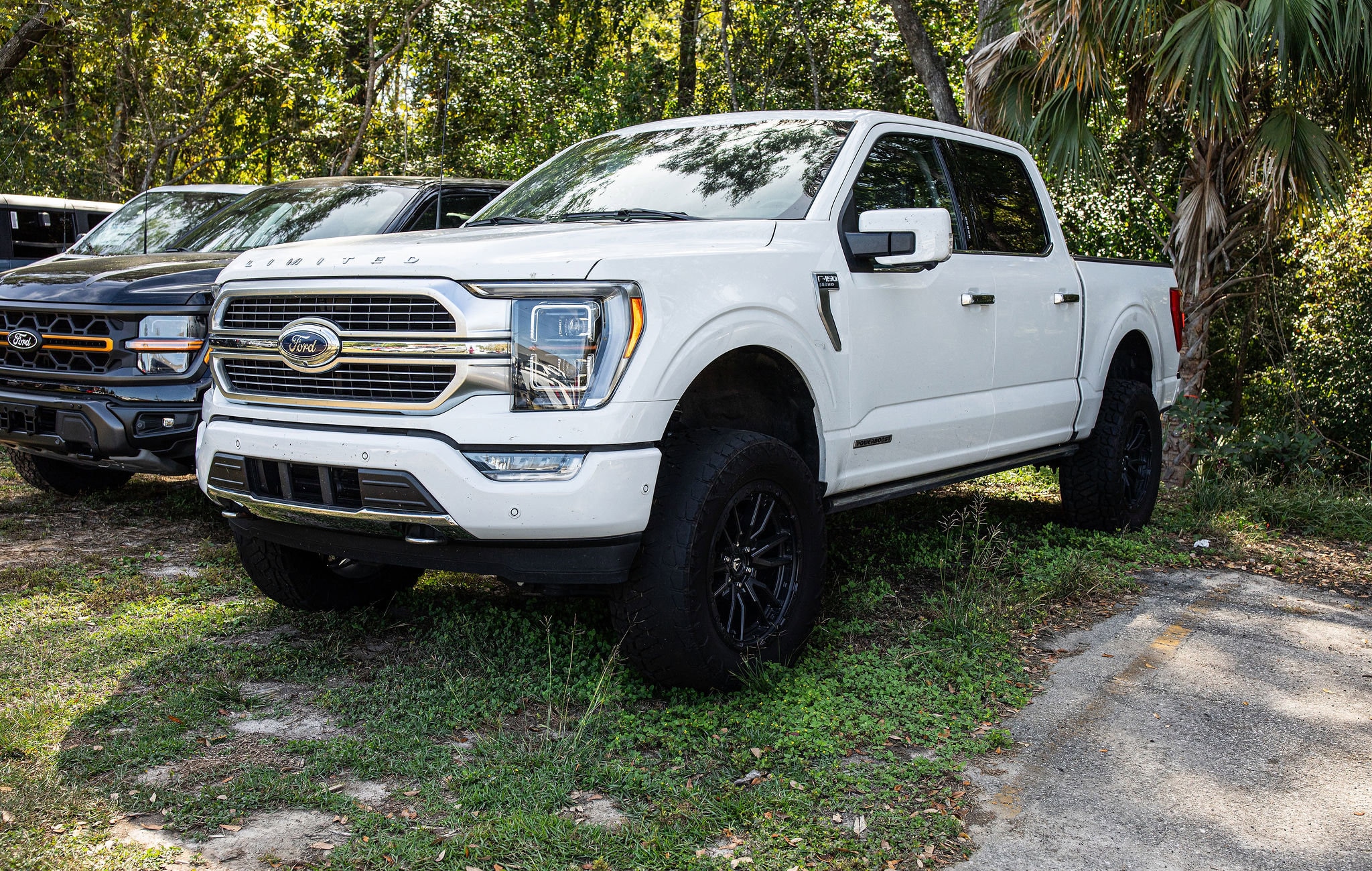 2023 Ford F-150 Limited's photo