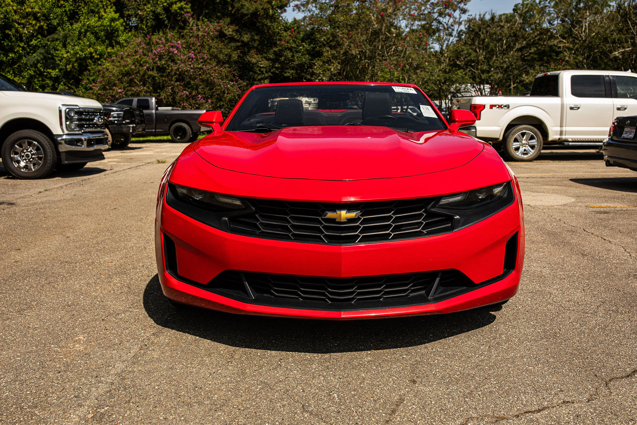Used 2019 Chevrolet Camaro 1LT with VIN 1G1FB3DX8K0131735 for sale in Havana, FL