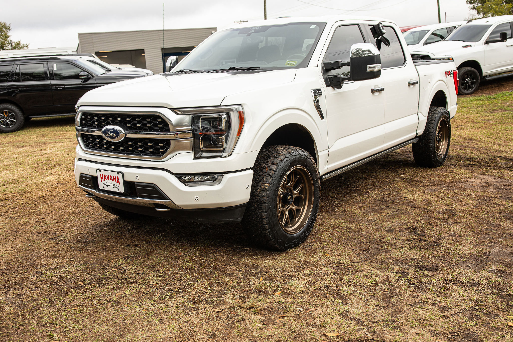 2022 Ford F-150 Platinum's photo