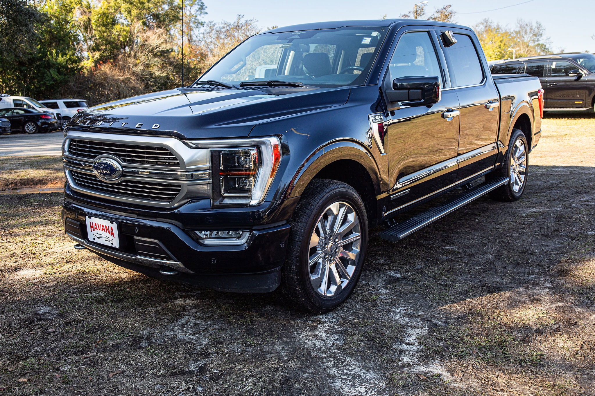 2023 Ford F-150 Limited's photo