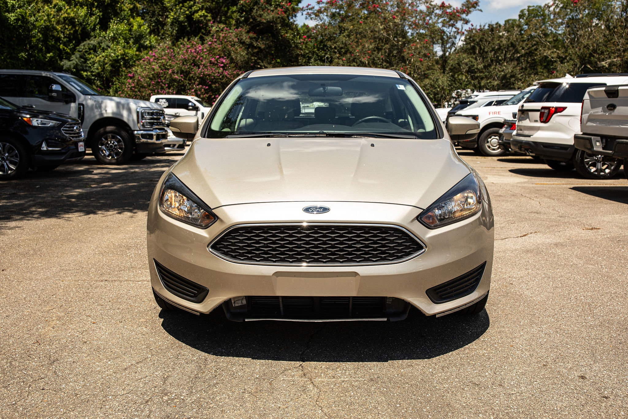 Used 2018 Ford Focus SE with VIN 1FADP3K23JL307780 for sale in Havana, FL