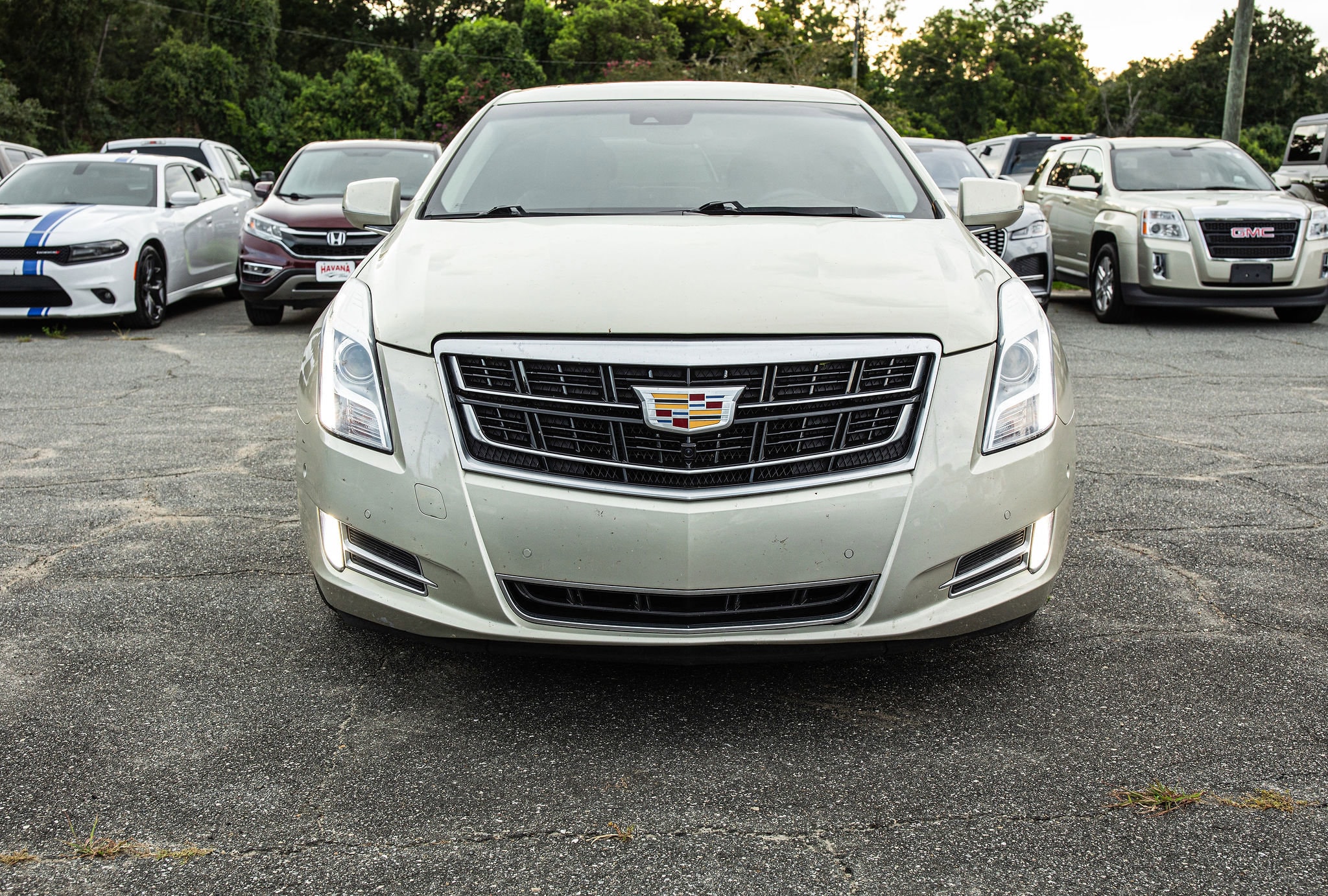 Used 2016 Cadillac XTS Luxury Collection with VIN 2G61M5S37G9106056 for sale in Havana, FL