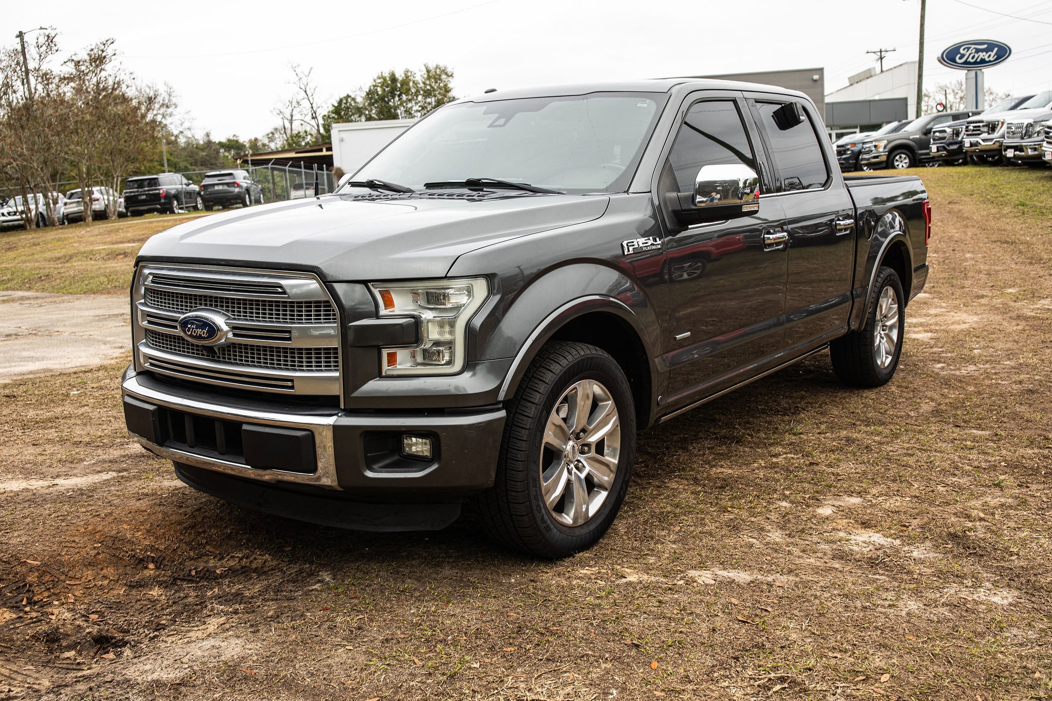 2015 Ford F-150 Platinum's photo