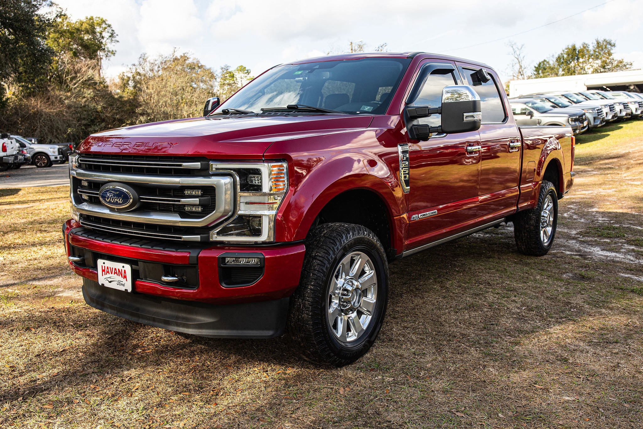 2020 Ford F-250 Super Duty Platinum's photo