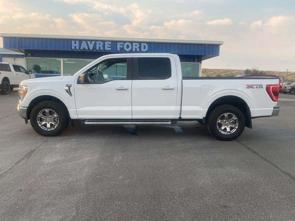 Used 2022 Ford F-150 XLT with VIN 1FTFW1E86NFA74346 for sale in Havre, MT
