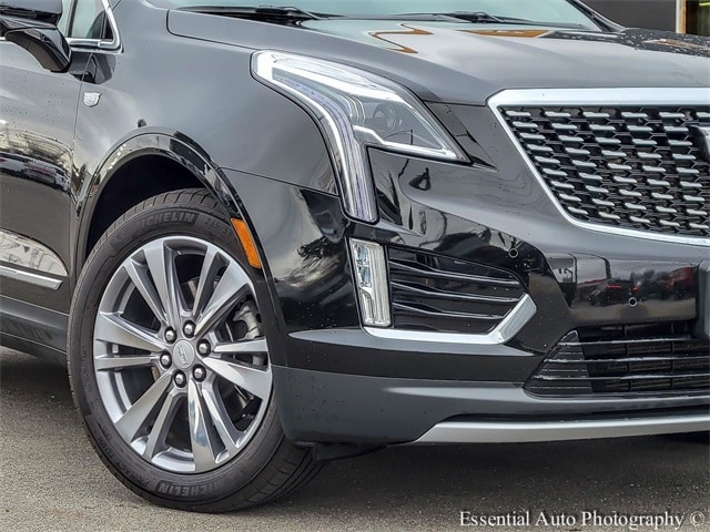2025 CADILLAC XT5 - Image 3