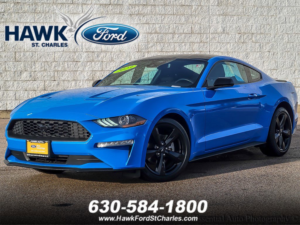 2023 Ford Mustang EcoBoost's photo