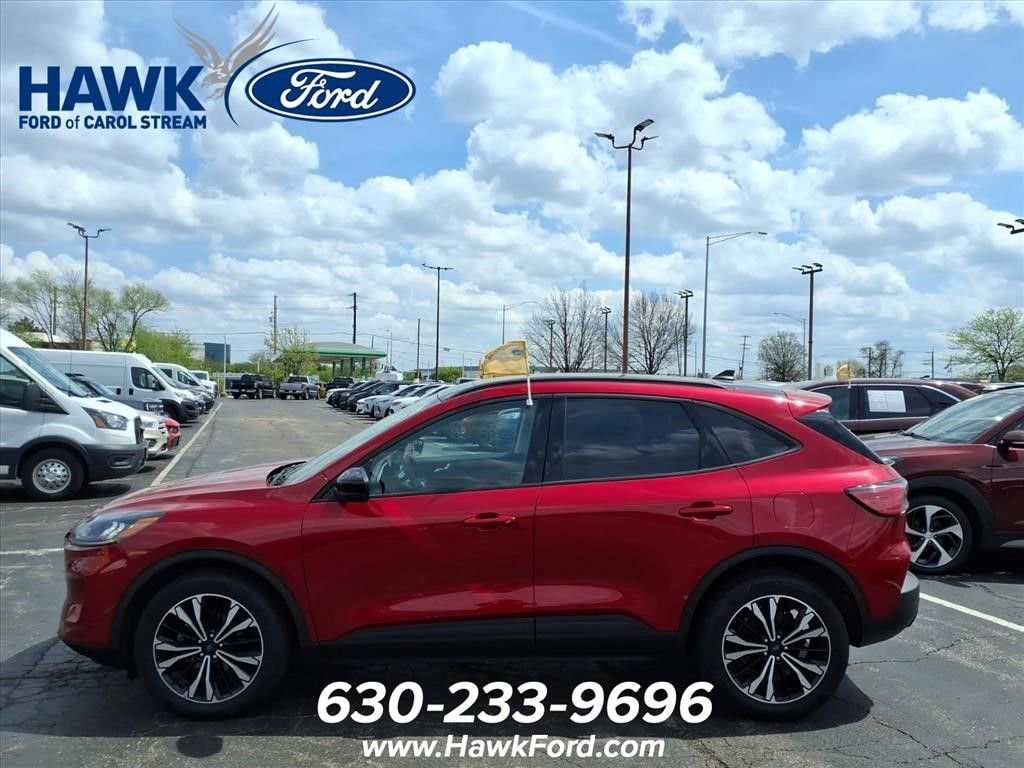 Used 2022 Ford Escape SEL SEL AWD