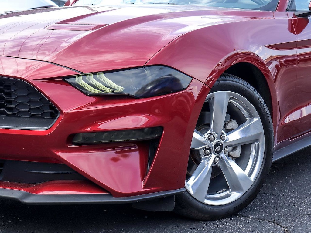 Used 2019 Ford Mustang EcoBoost Premium EcoBoost Premium Fastback