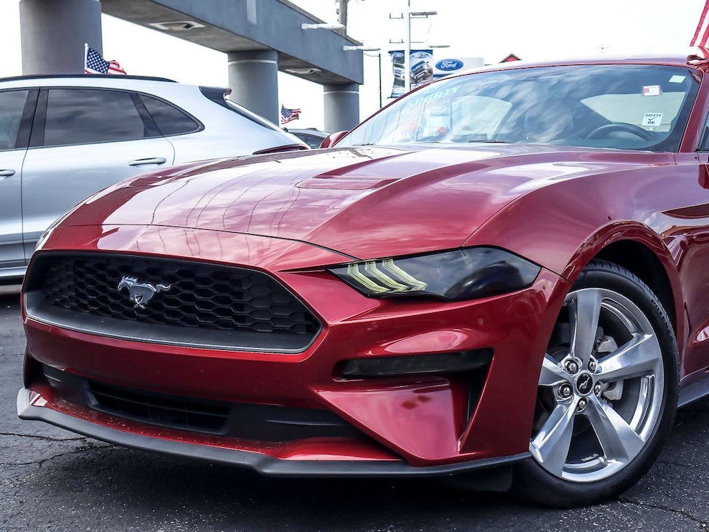 Used 2019 Ford Mustang EcoBoost Premium EcoBoost Premium Fastback