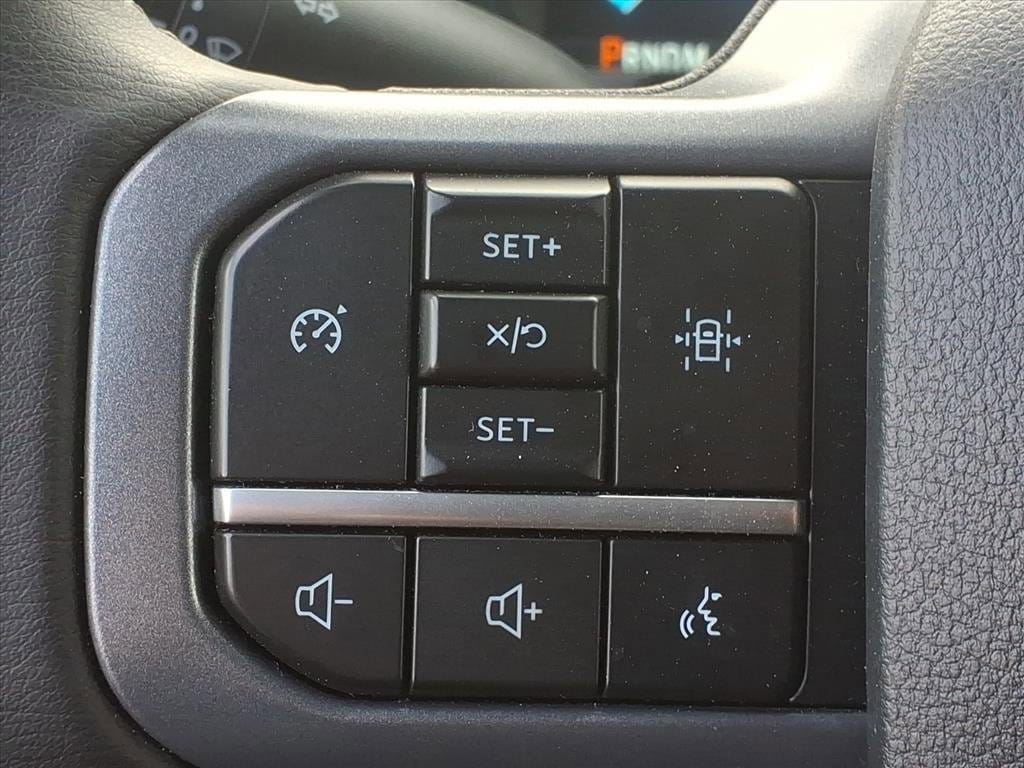 2025 FORD F-150 - Image 19