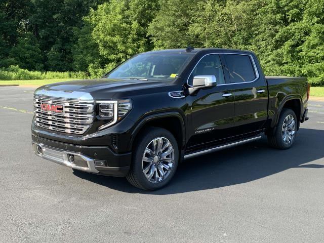 2024 Gmc Sierra 1500 Denali photo 3