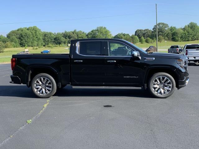 2024 Gmc Sierra 1500 Denali photo 2