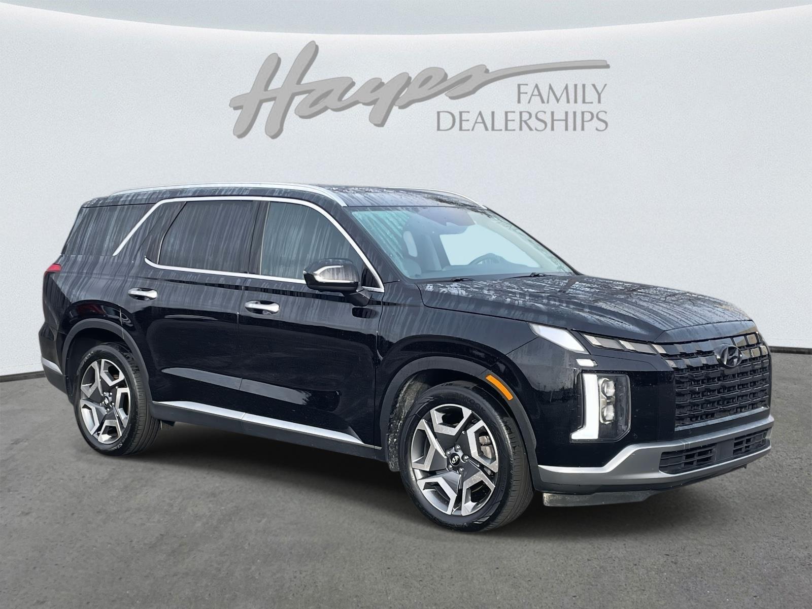 2025 Hyundai Palisade SELPremium's photo