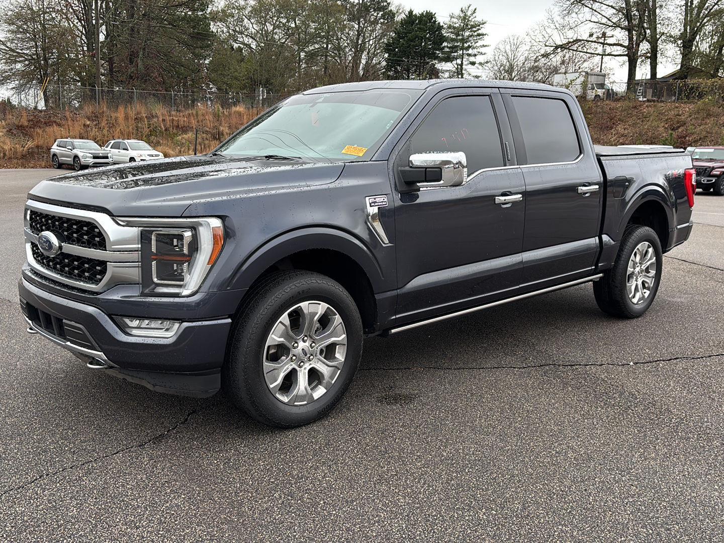 2021 Ford F-150 Platinum's photo